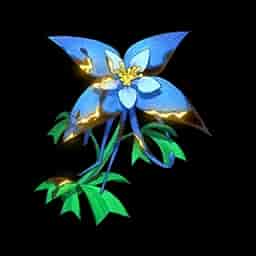 Iris