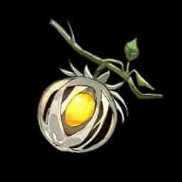 Lanternberry