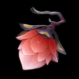 Pavo Plum