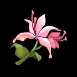 Pecok Flower
