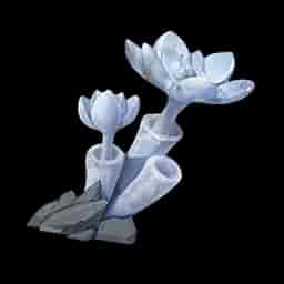 Stone Rose